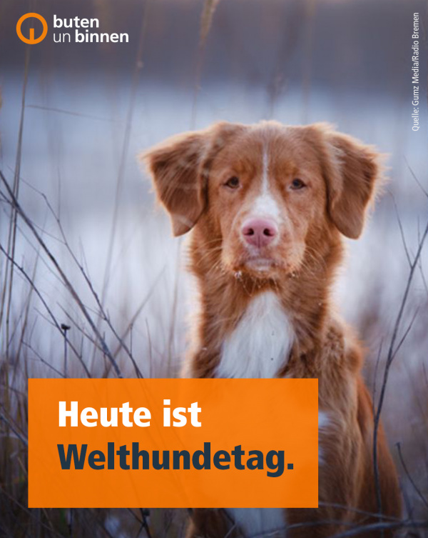 Eine Beispielabbildung für einen Post mit kurzer Info in oranger Box auf einem Hintergrundbild
